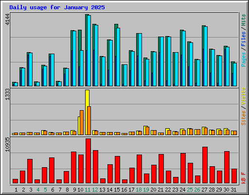 Daily usage for January 2025