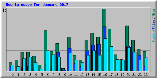 Hourly usage for January 2017