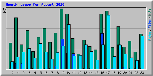 Hourly usage for August 2020