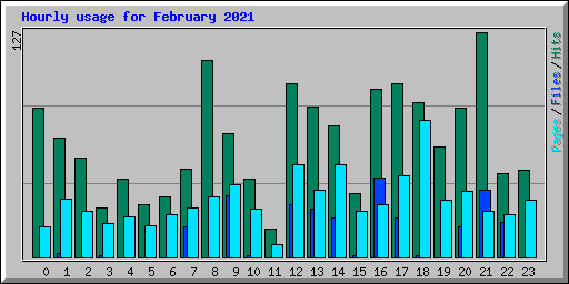 Hourly usage for February 2021