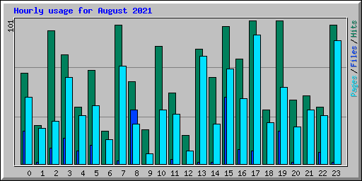 Hourly usage for August 2021
