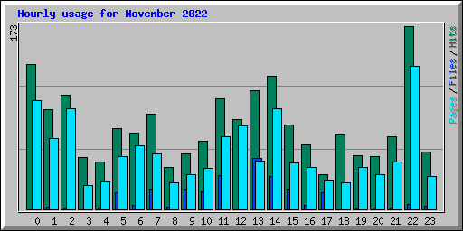 Hourly usage for November 2022