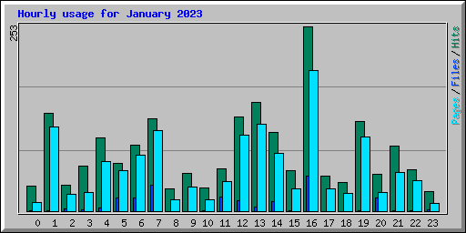 Hourly usage for January 2023