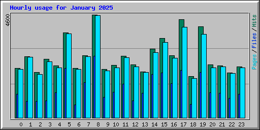 Hourly usage for January 2025