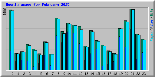 Hourly usage for February 2025