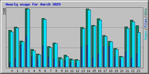 Hourly usage for March 2025