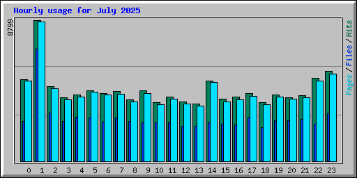 Hourly usage for July 2025