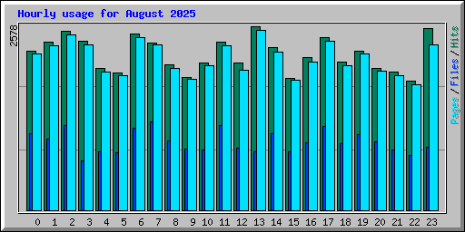 Hourly usage for August 2025