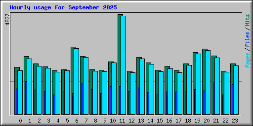 Hourly usage for September 2025