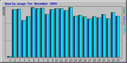 Hourly usage for December 2025