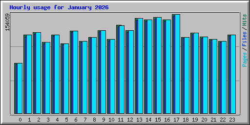 Hourly usage for January 2026