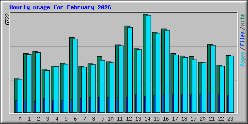 Hourly usage for February 2026